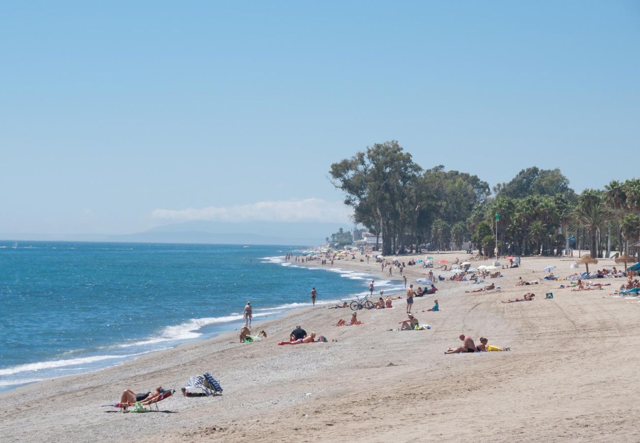 Apartamento en San Pedro de Alcántara - 06 - Beachfront Garden apartment Castiglione