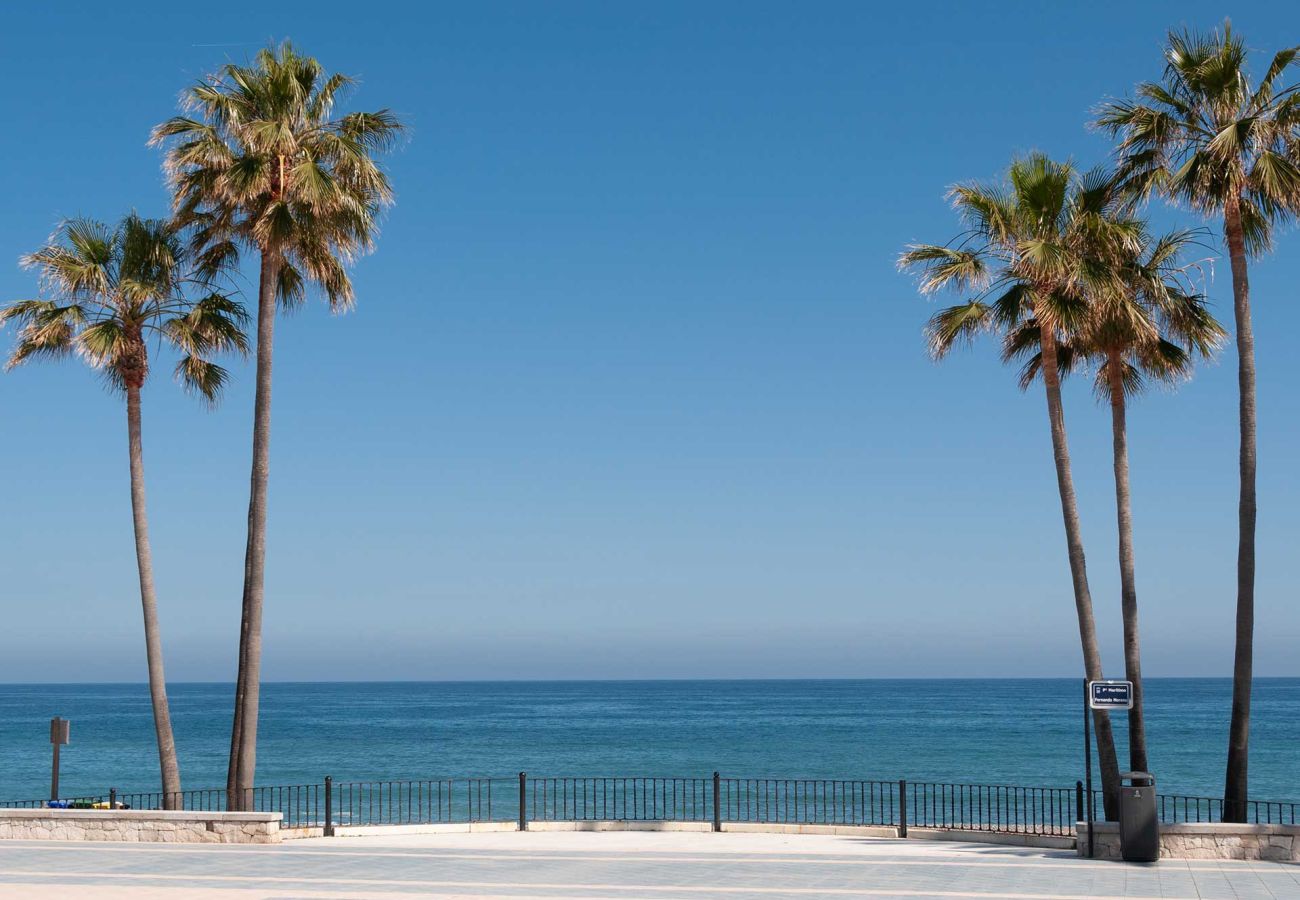 Apartment in San Pedro de Alcántara - 20 - Stunning Beachside Penthouse in San Pedro